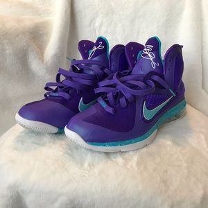 Men’s LeBron 9 Hornets